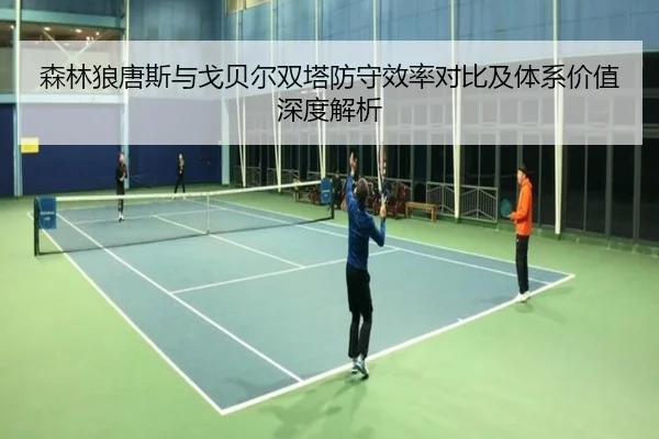 森林狼唐斯与戈贝尔双塔防守效率对比及体系价值深度解析